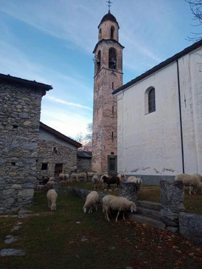 Rifugio Uschione Pension Chiavenna Buitenkant foto