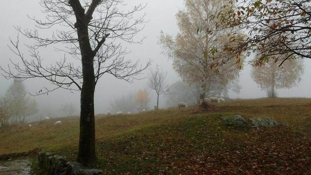 Rifugio Uschione Pension Chiavenna Buitenkant foto