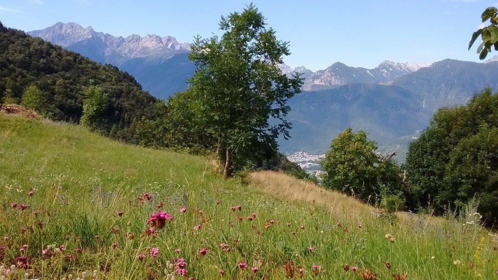 Rifugio Uschione Pension Chiavenna Buitenkant foto